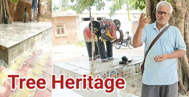 पीपल के चबूतरे पर 3.37 लाख खर्च,अगयां ग्राम सभा में ‘वृक्ष विरासत’ पर उठे सवाल