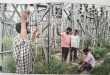आसमानी बिजली का कहर